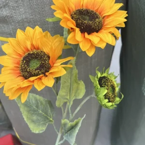 Hoa Hướng Dương