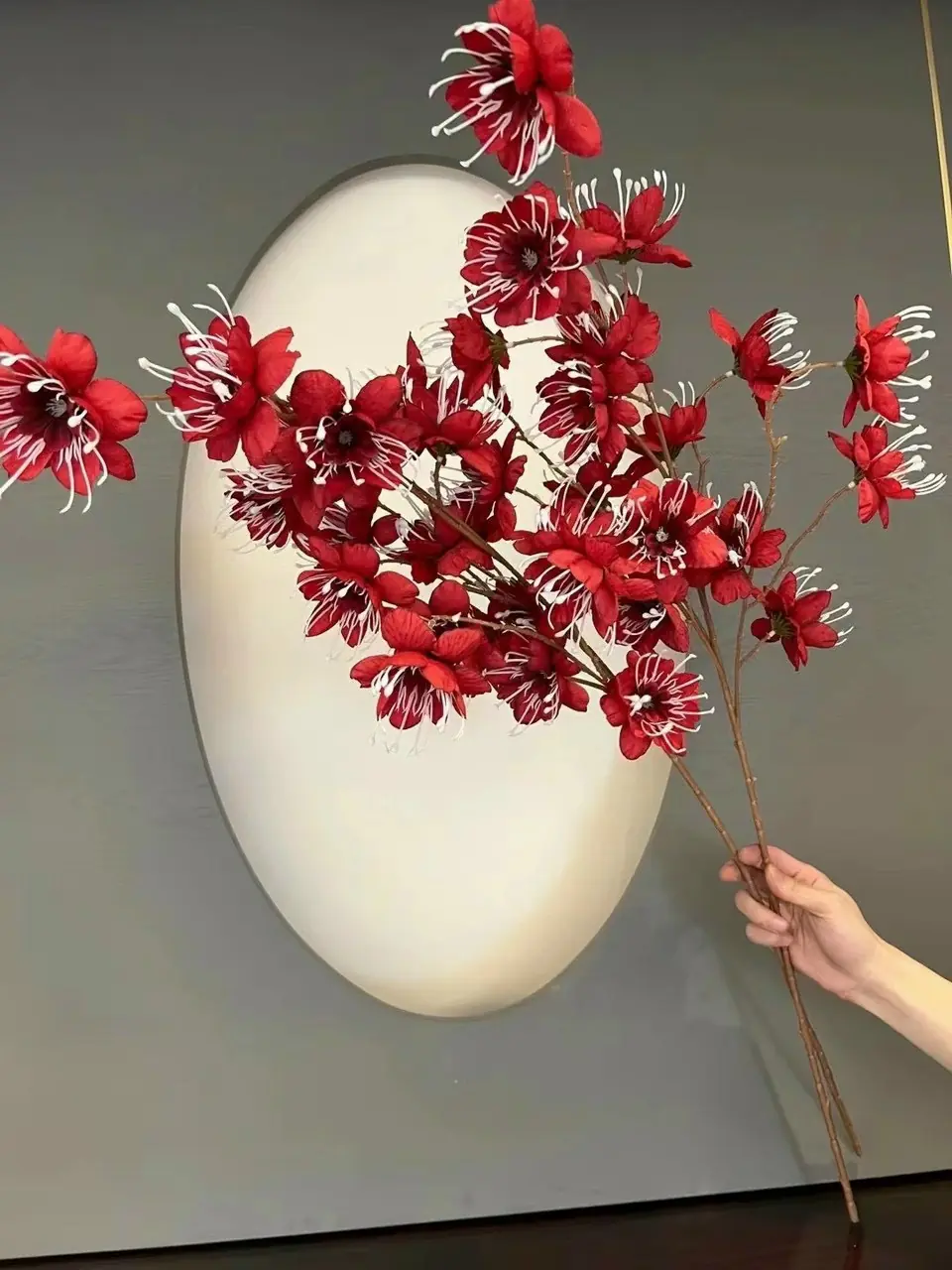 Hoa Kim Phượng - Ảnh 3