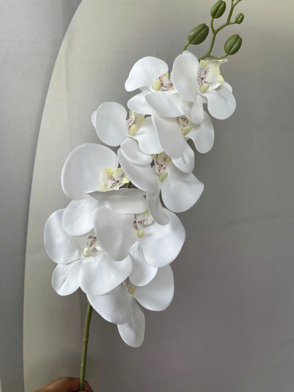 Hoa Lan Hồ Điệp Chất Liệu Cao Su 9 Bông