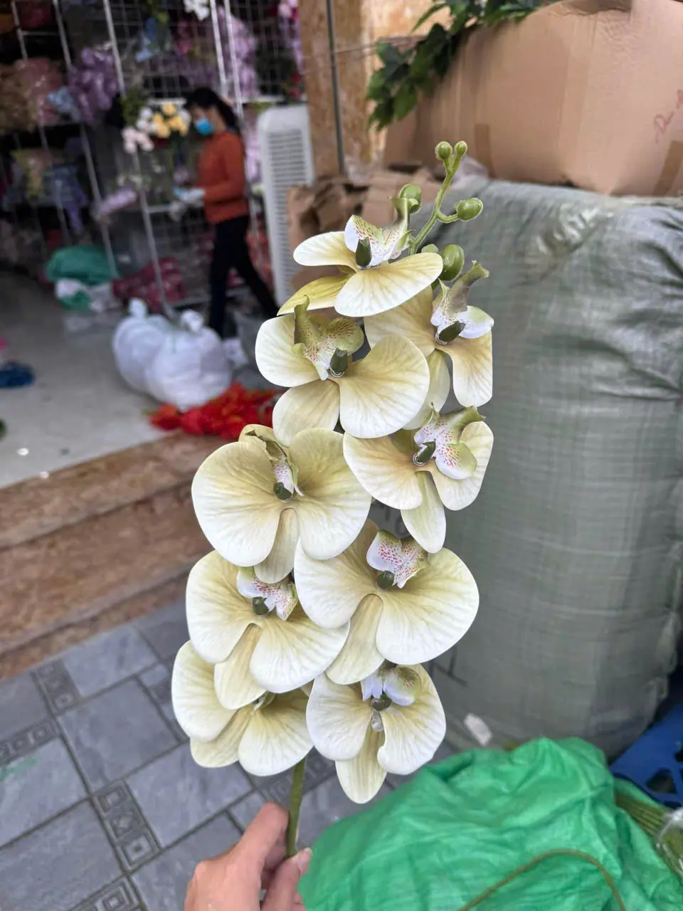 Hoa Lan Hồ Điệp Chất Liệu Cao Su 9 Bông - Ảnh 2