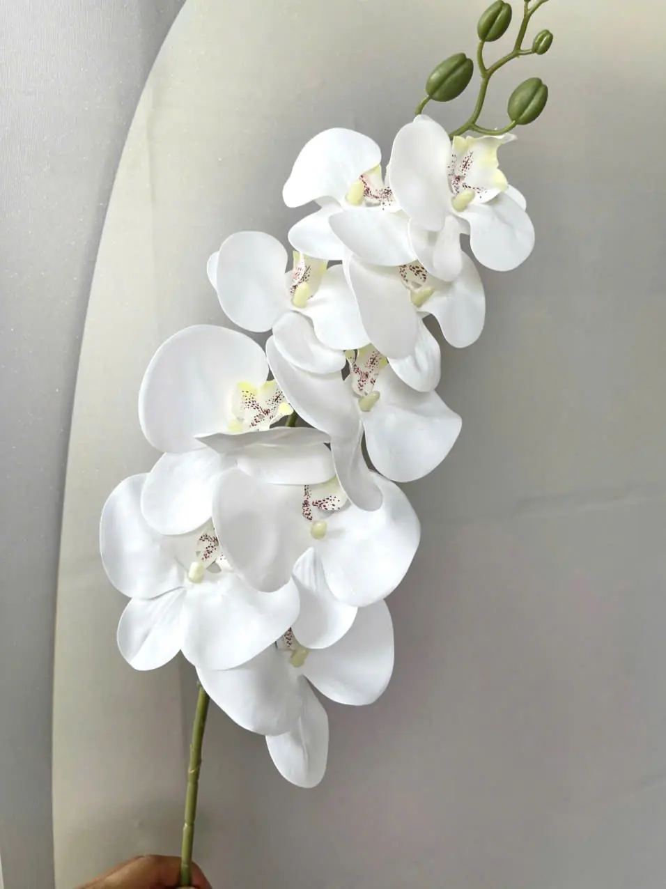 Hoa Lan Hồ Điệp Chất Liệu Cao Su 9 Bông - Ảnh 8