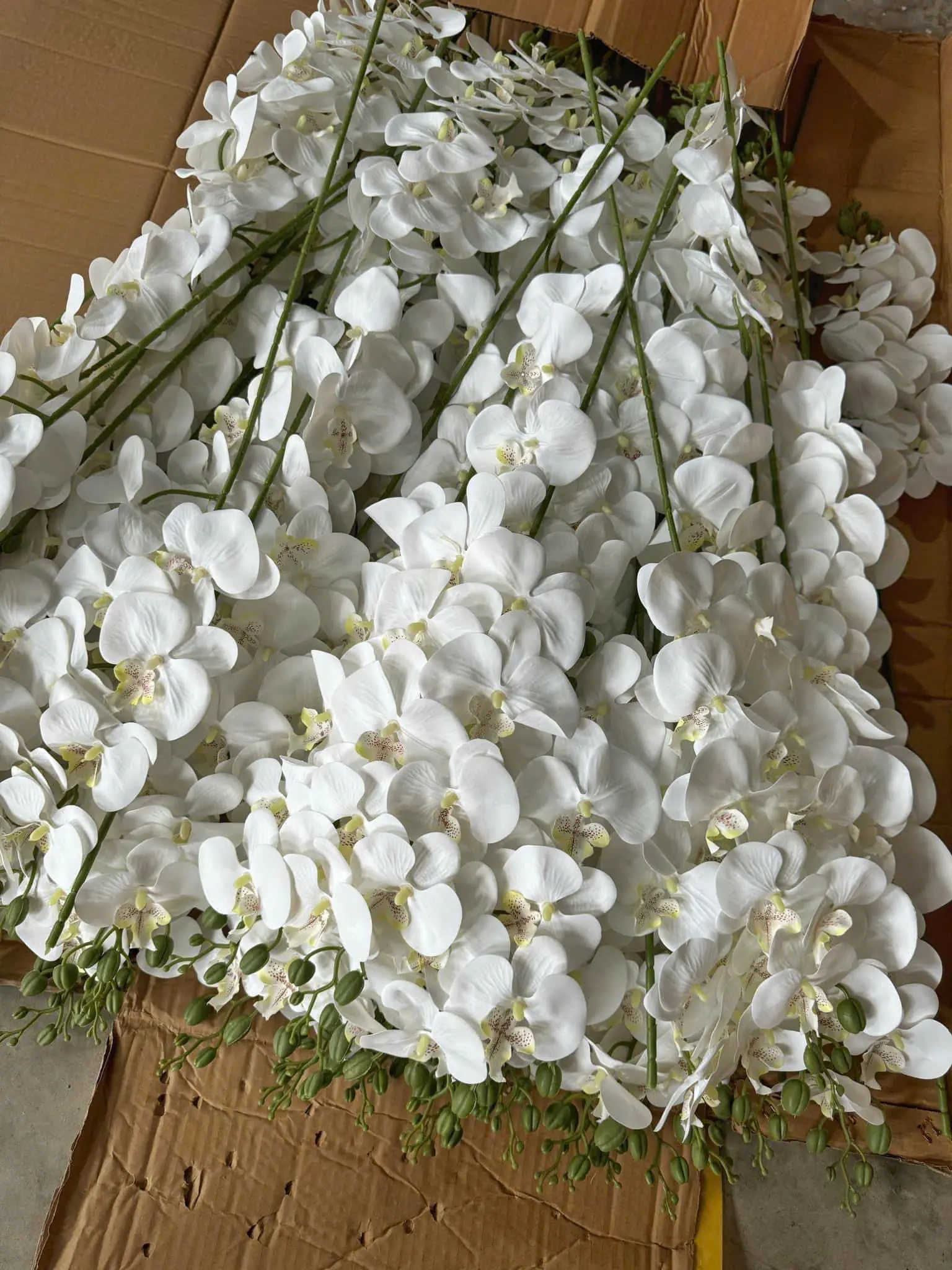 Hoa Lan Hồ Điệp Chất Liệu Cao Su 9 Bông - Ảnh 10