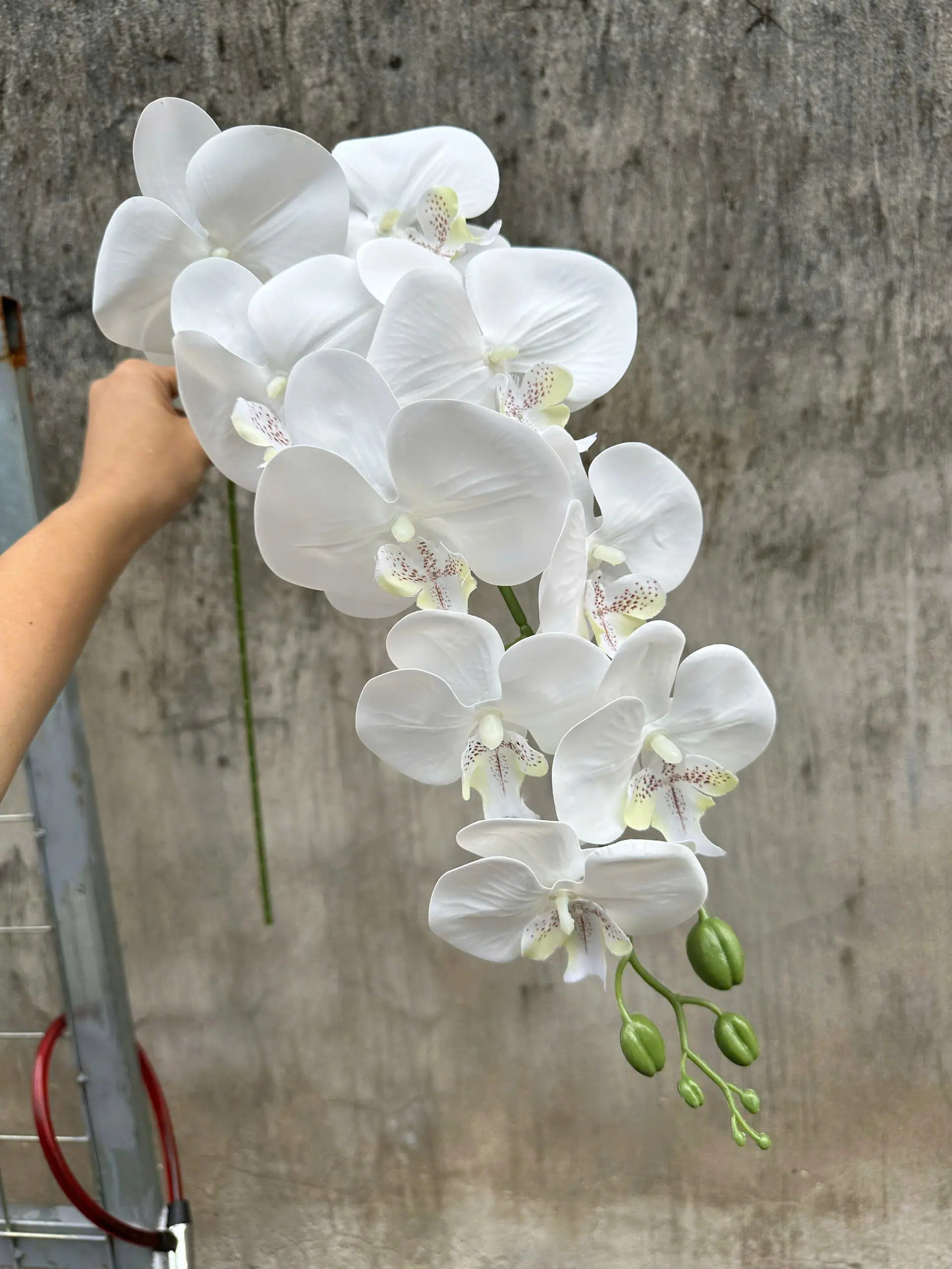 Hoa Lan Hồ Điệp Chất Liệu Cao Su 9 Bông - Ảnh 11