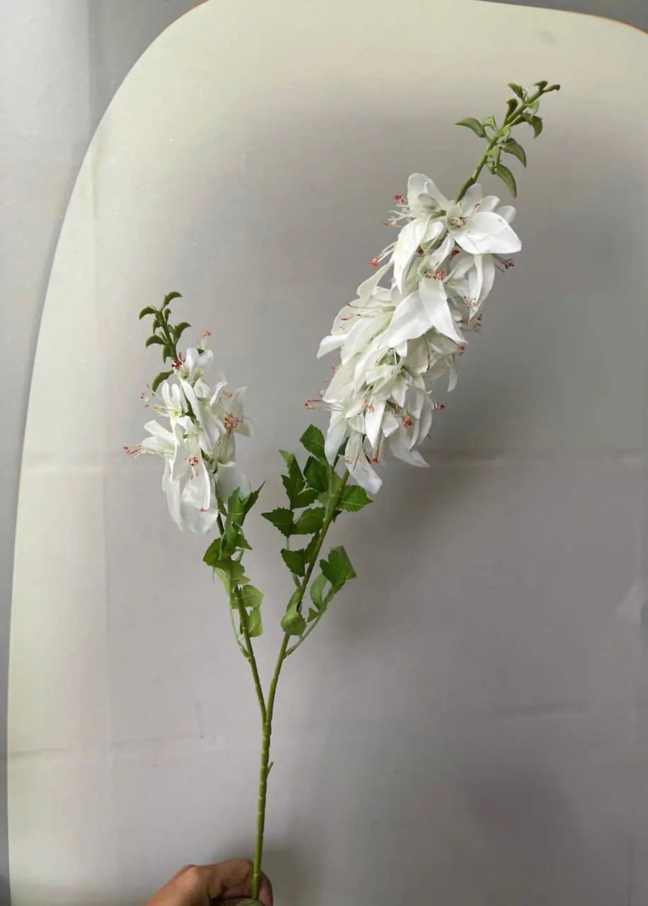 Hoa Lan Hoàng Yến 2 Nhánh