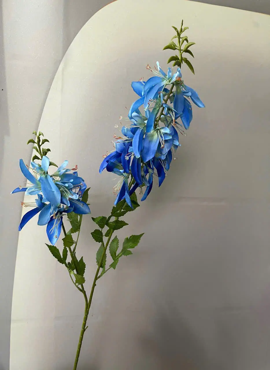 Hoa Lan Hoàng Yến 2 Nhánh - Ảnh 5