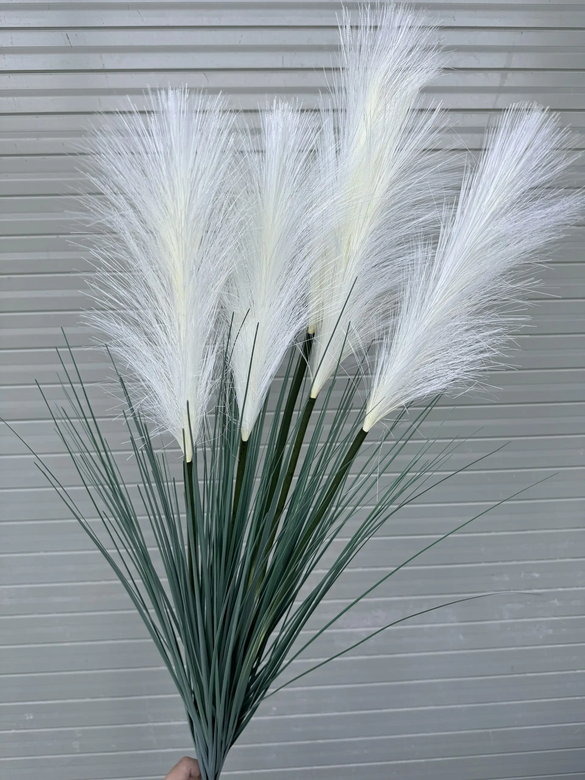 Hoa Lau 5 Bông - Ảnh 2