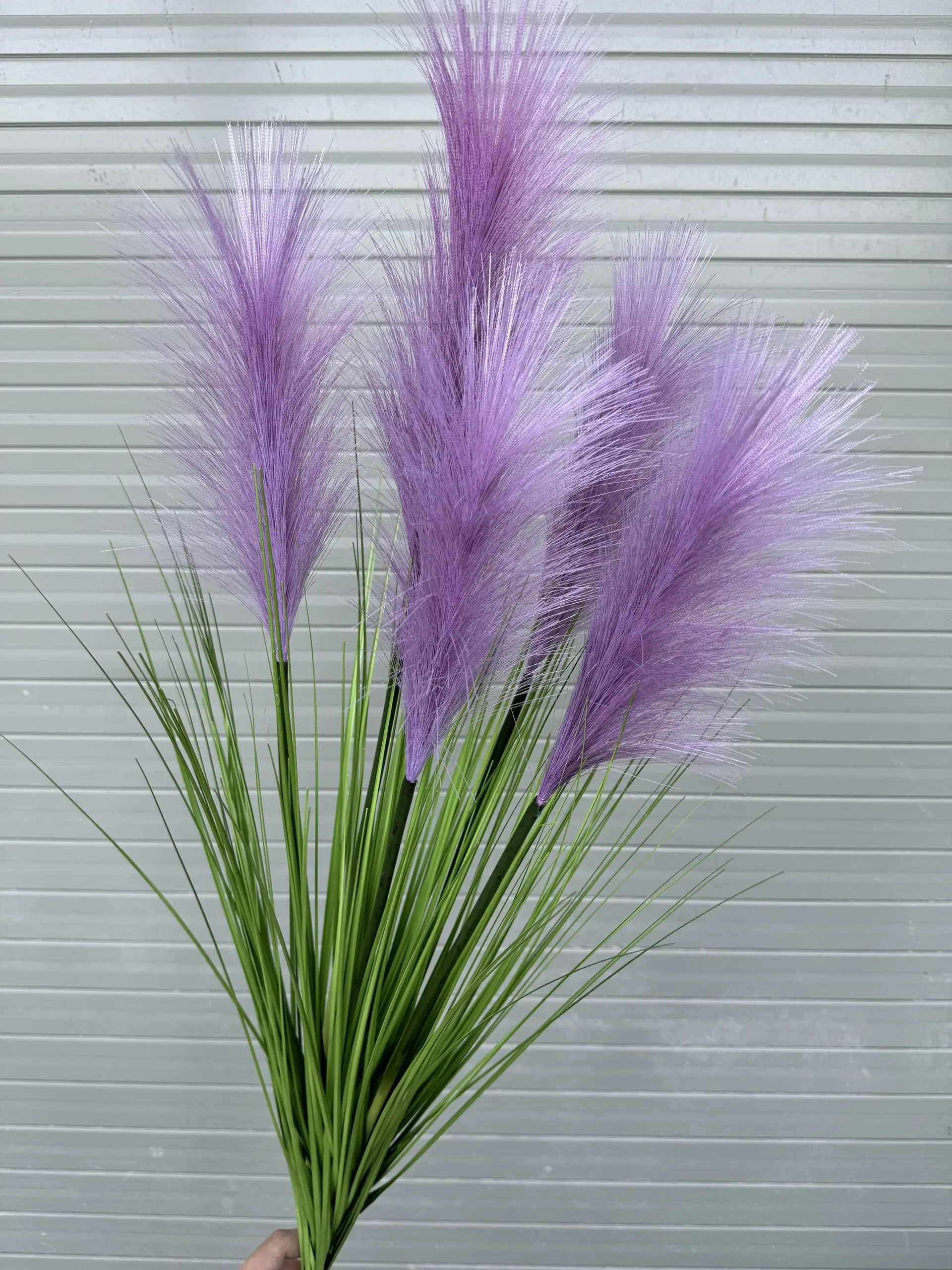 Hoa Lau 5 Bông - Ảnh 3