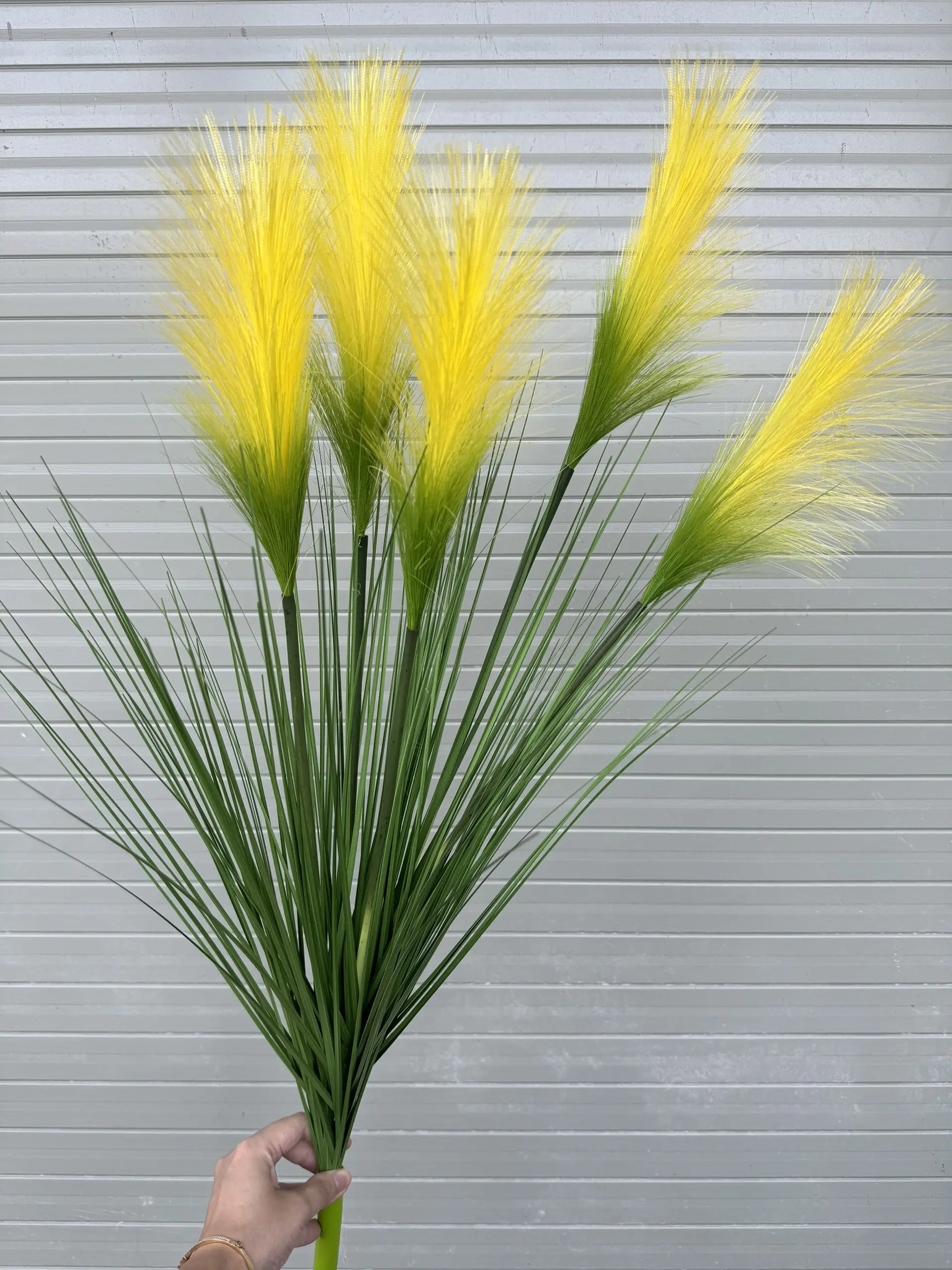 Hoa Lau 5 Bông - Ảnh 4