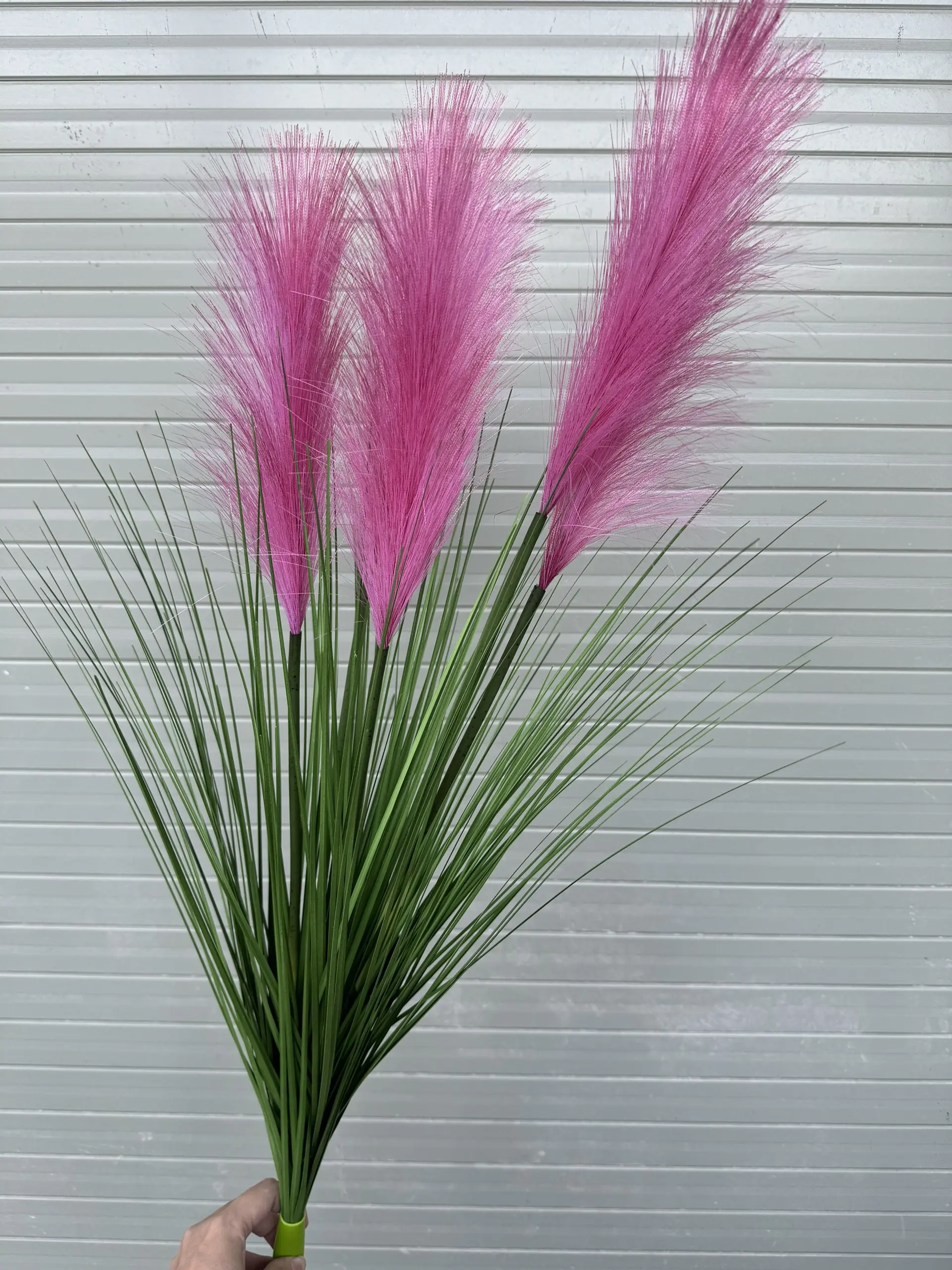 Hoa Lau 5 Bông - Ảnh 5