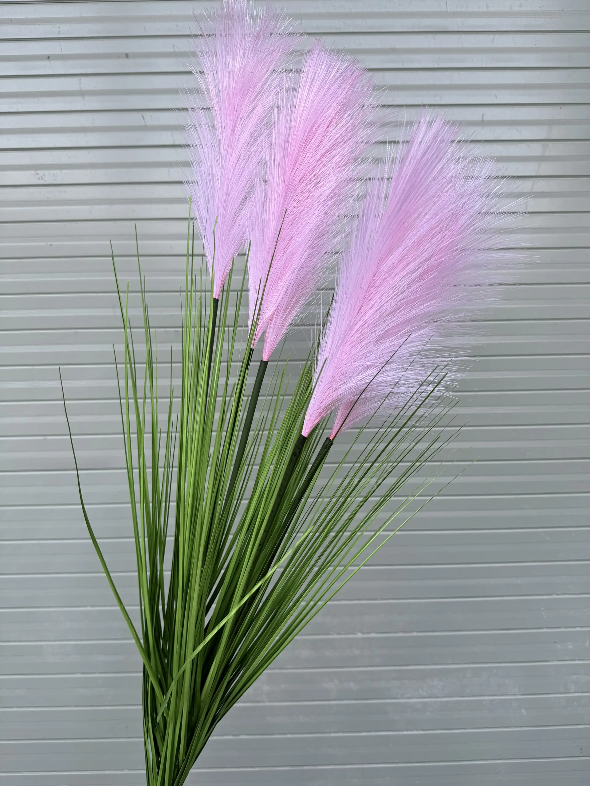 Hoa Lau 5 Bông - Ảnh 6