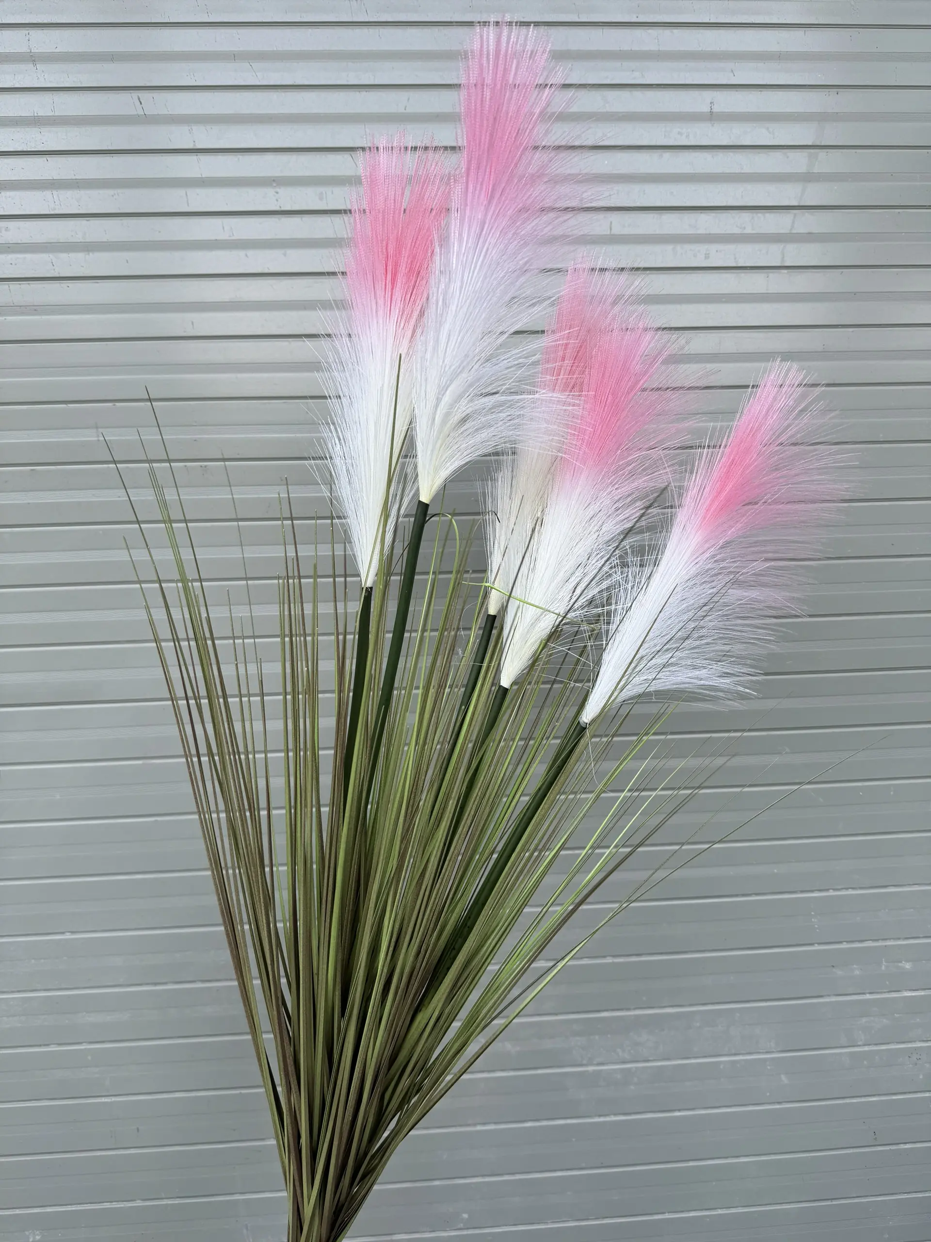 Hoa Lau 5 Bông - Ảnh 7