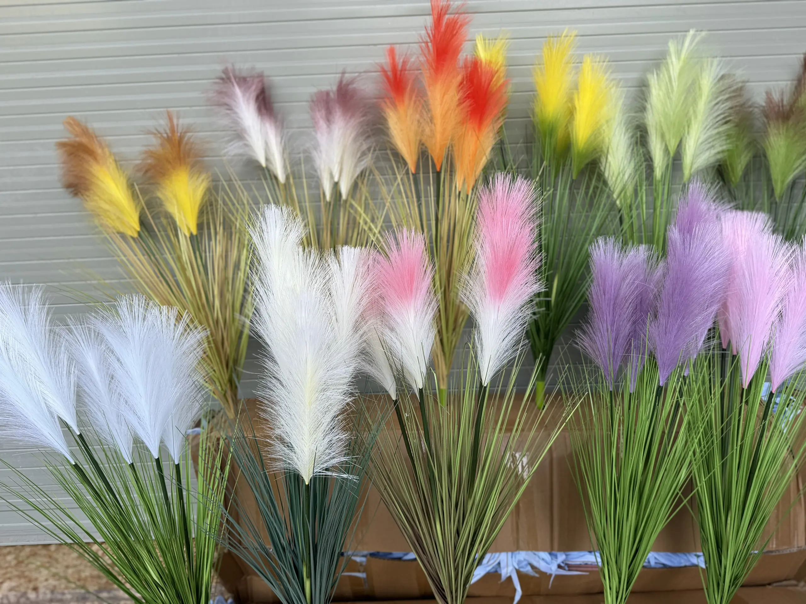 Hoa Lau 5 Bông - Ảnh 8