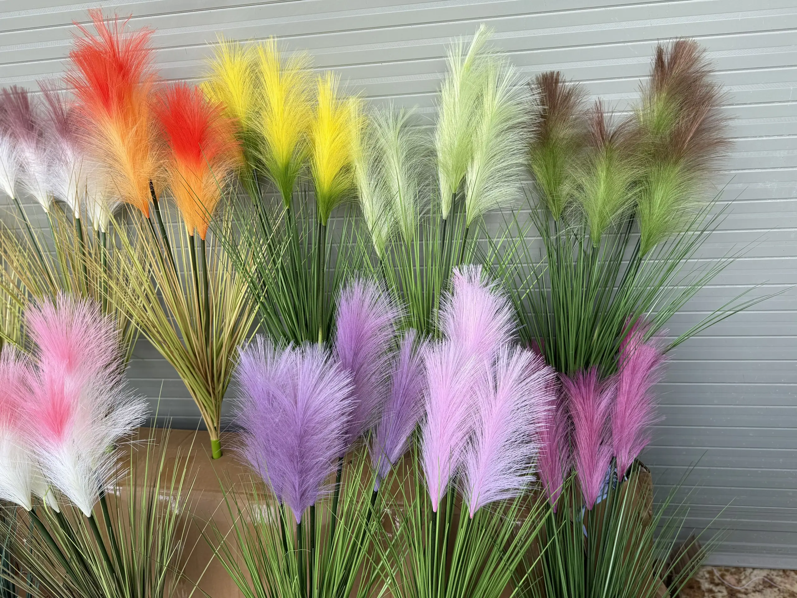 Hoa Lau 5 Bông - Ảnh 9