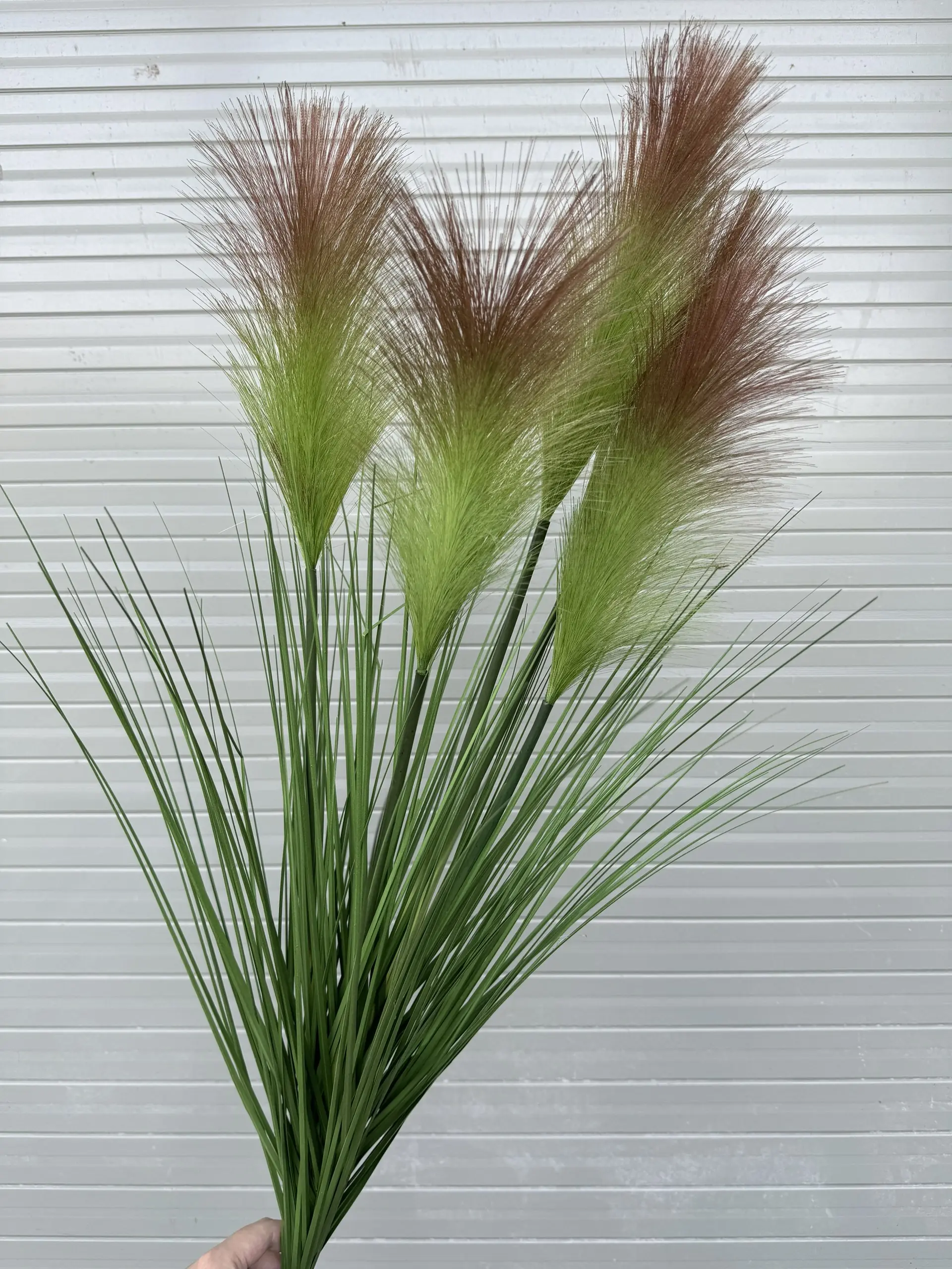 Hoa Lau 5 Bông - Ảnh 10