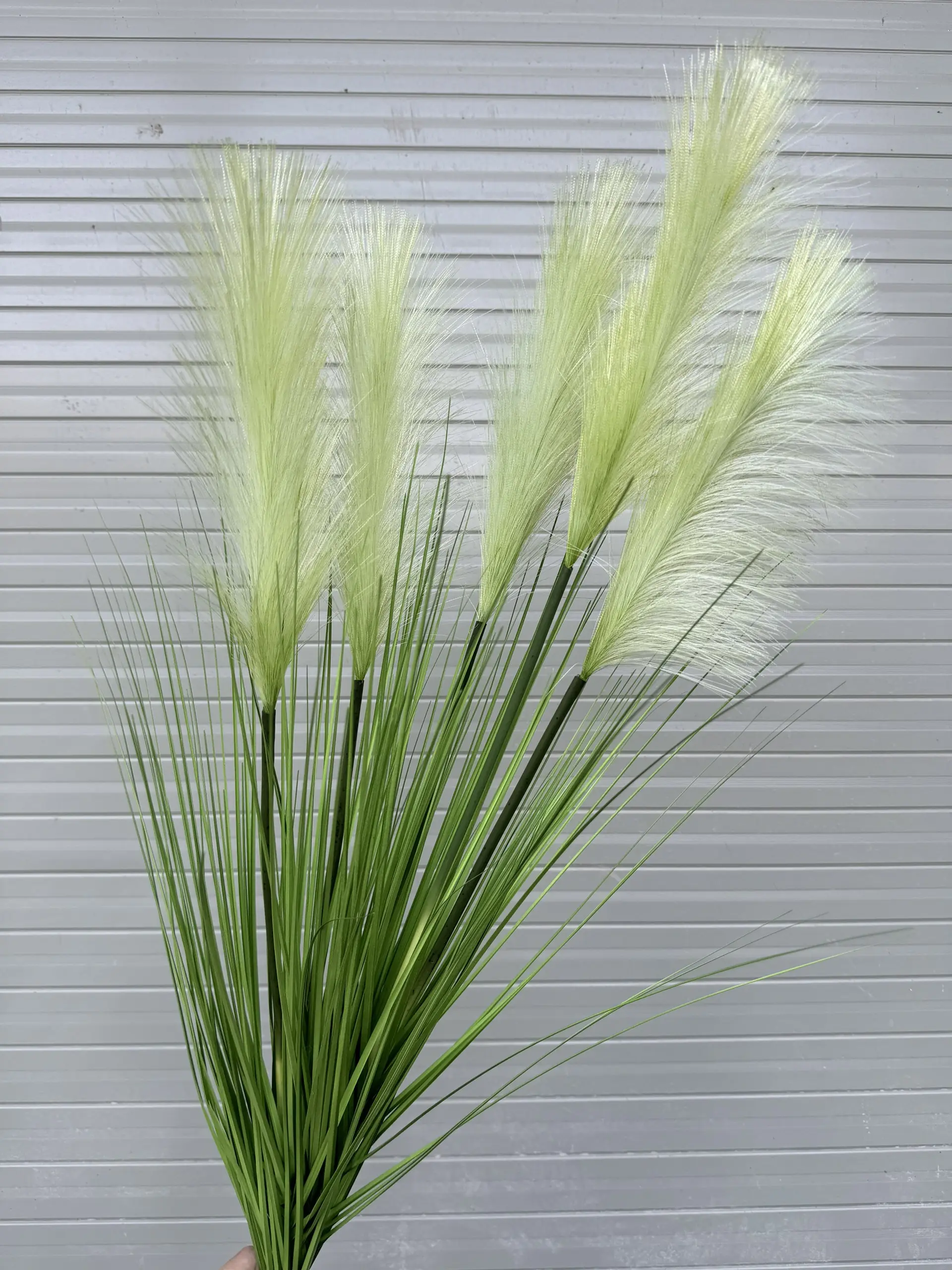 Hoa Lau 5 Bông - Ảnh 12