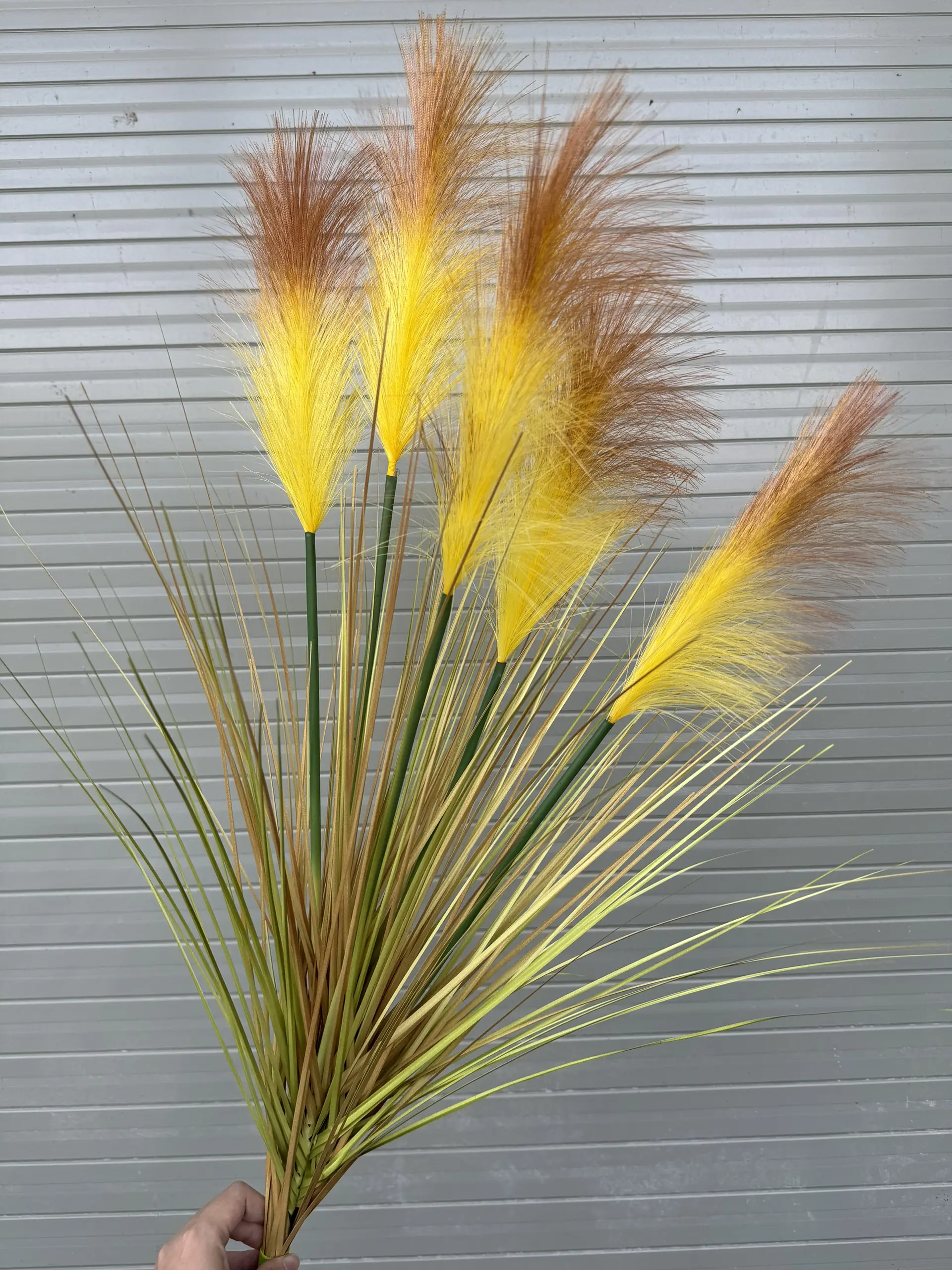 Hoa Lau 5 Bông - Ảnh 13