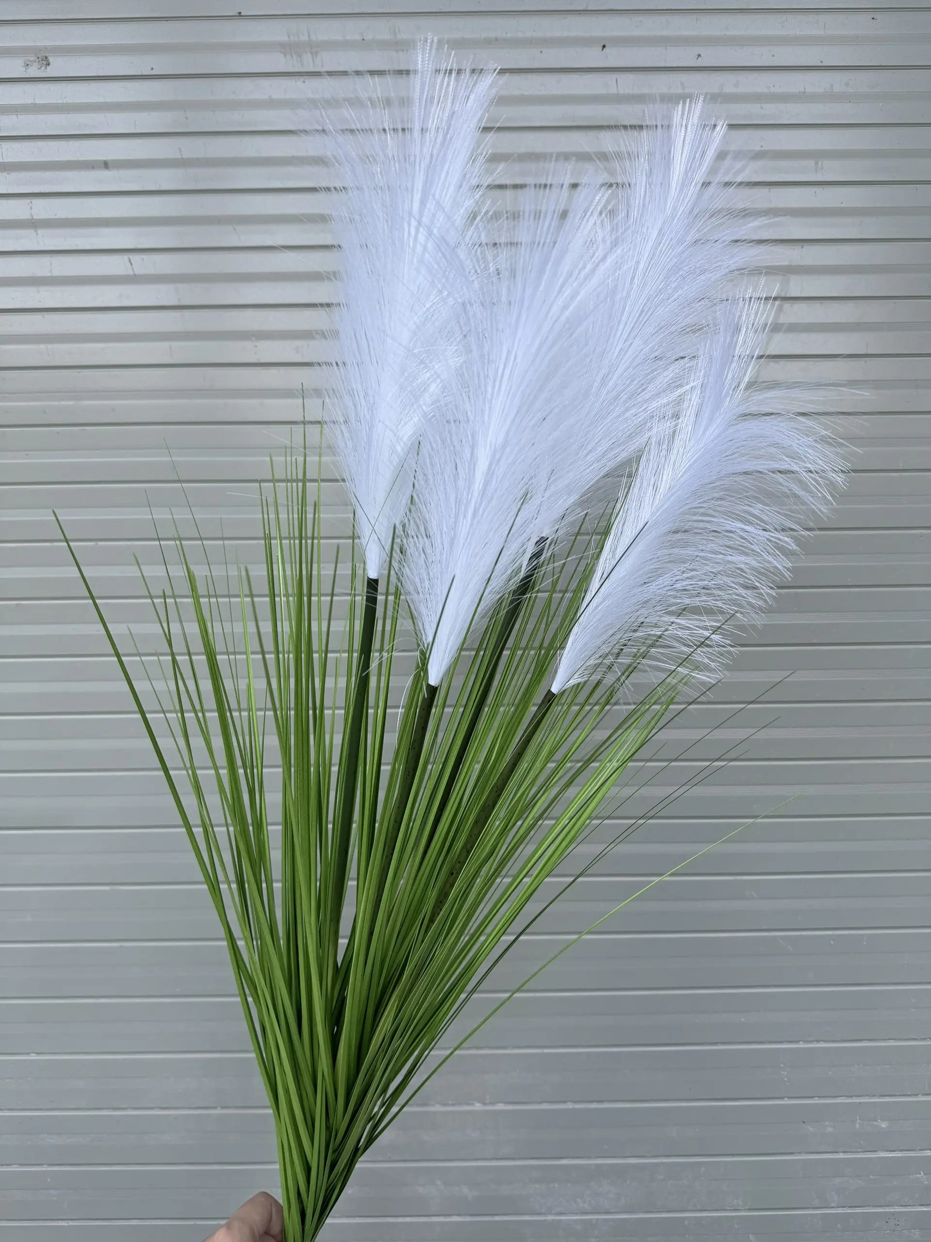 Hoa Lau 5 Bông - Ảnh 14