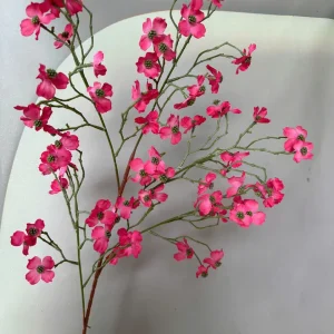 Hoa Mai Rừng ( Hoa Mận)