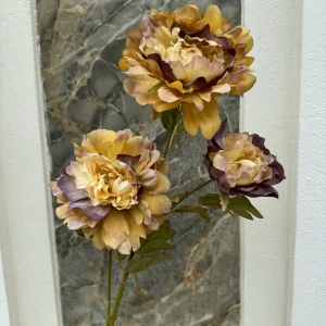 Hoa Mẫu Đơn Khô