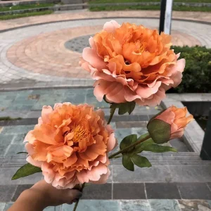 Hoa Mẫu Đơn Nụ 2 Bông