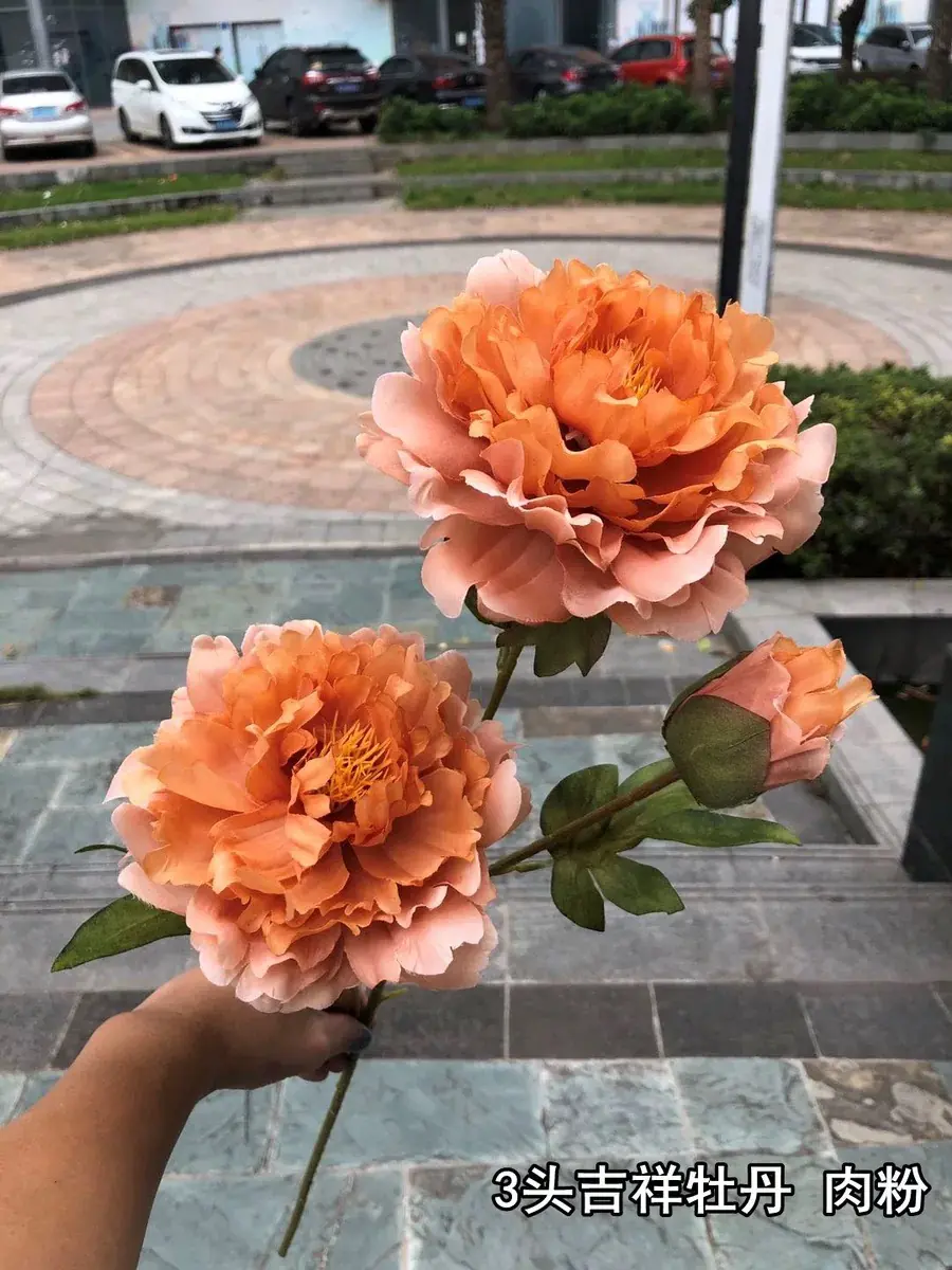 Hoa Mẫu Đơn Nụ 2 Bông