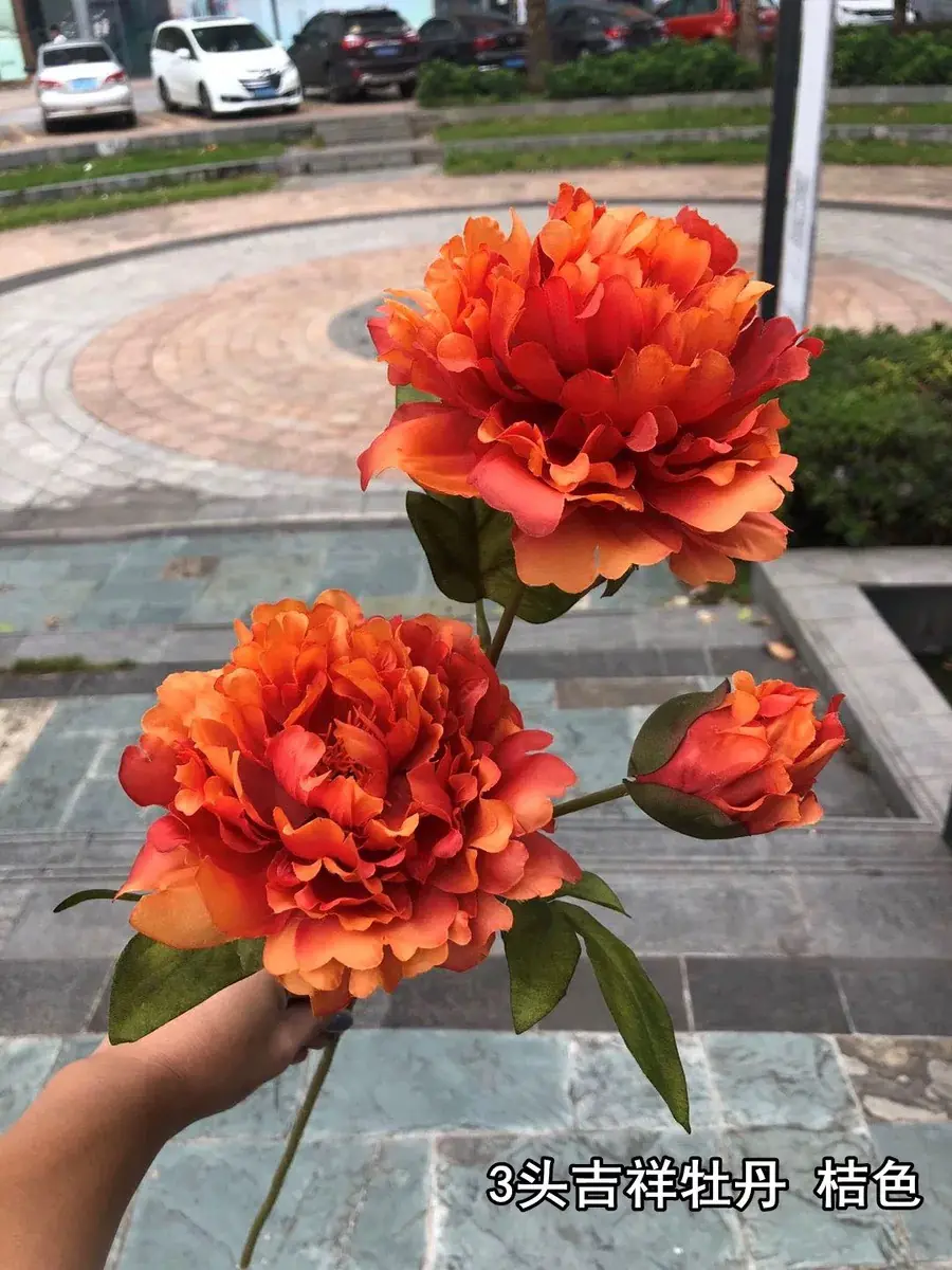 Hoa Mẫu Đơn Nụ 2 Bông - Ảnh 4