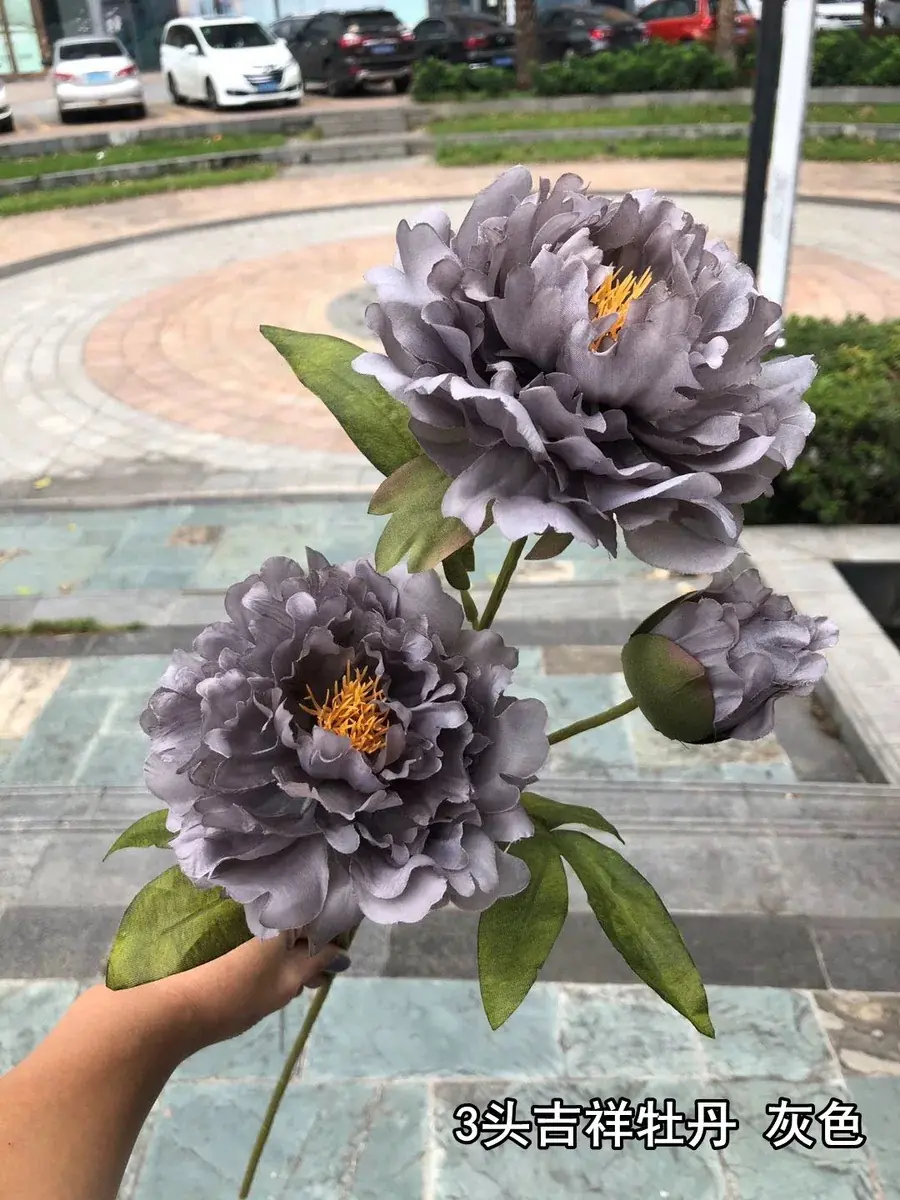 Hoa Mẫu Đơn Nụ 2 Bông - Ảnh 5