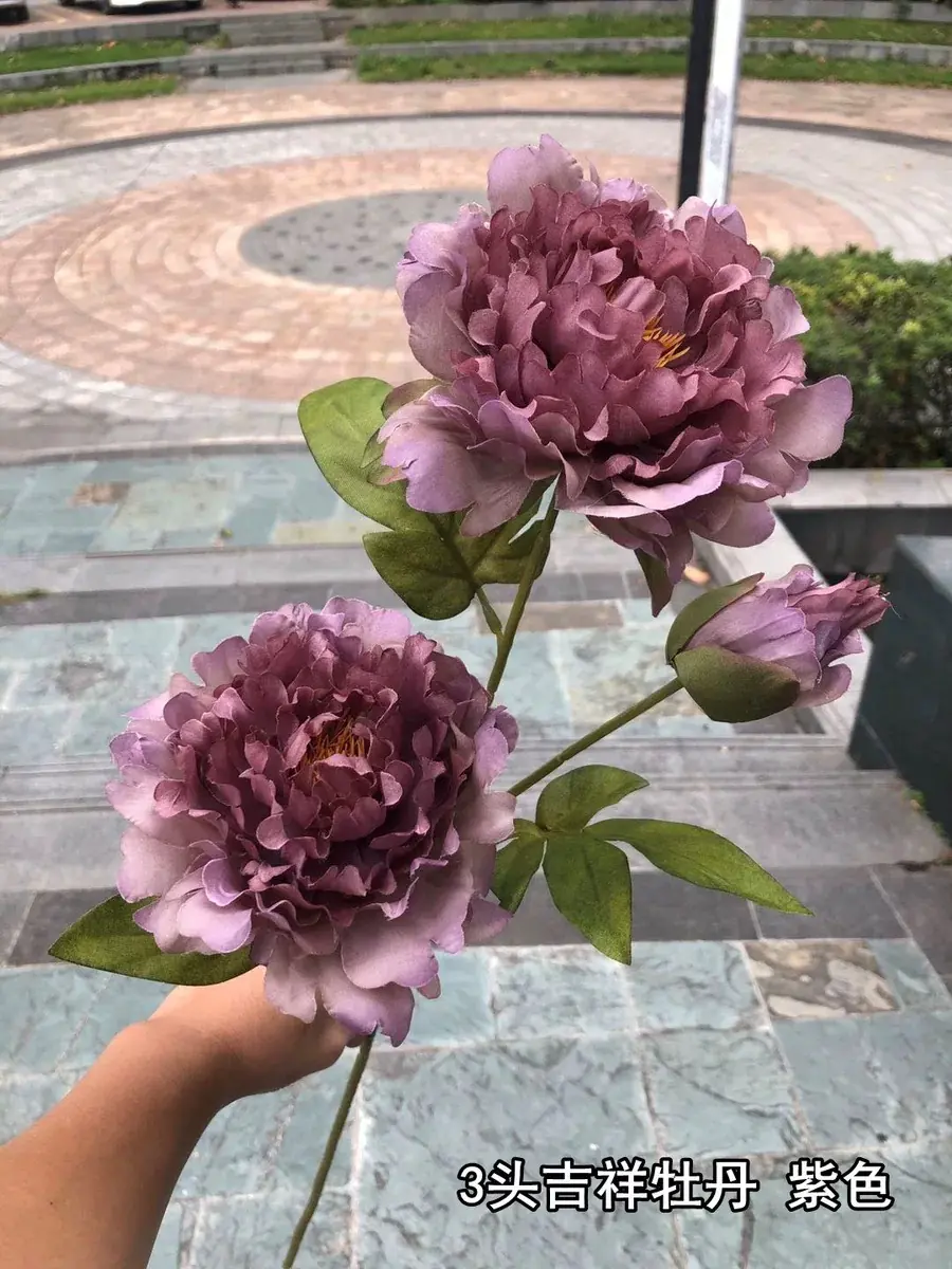 Hoa Mẫu Đơn Nụ 2 Bông - Ảnh 6