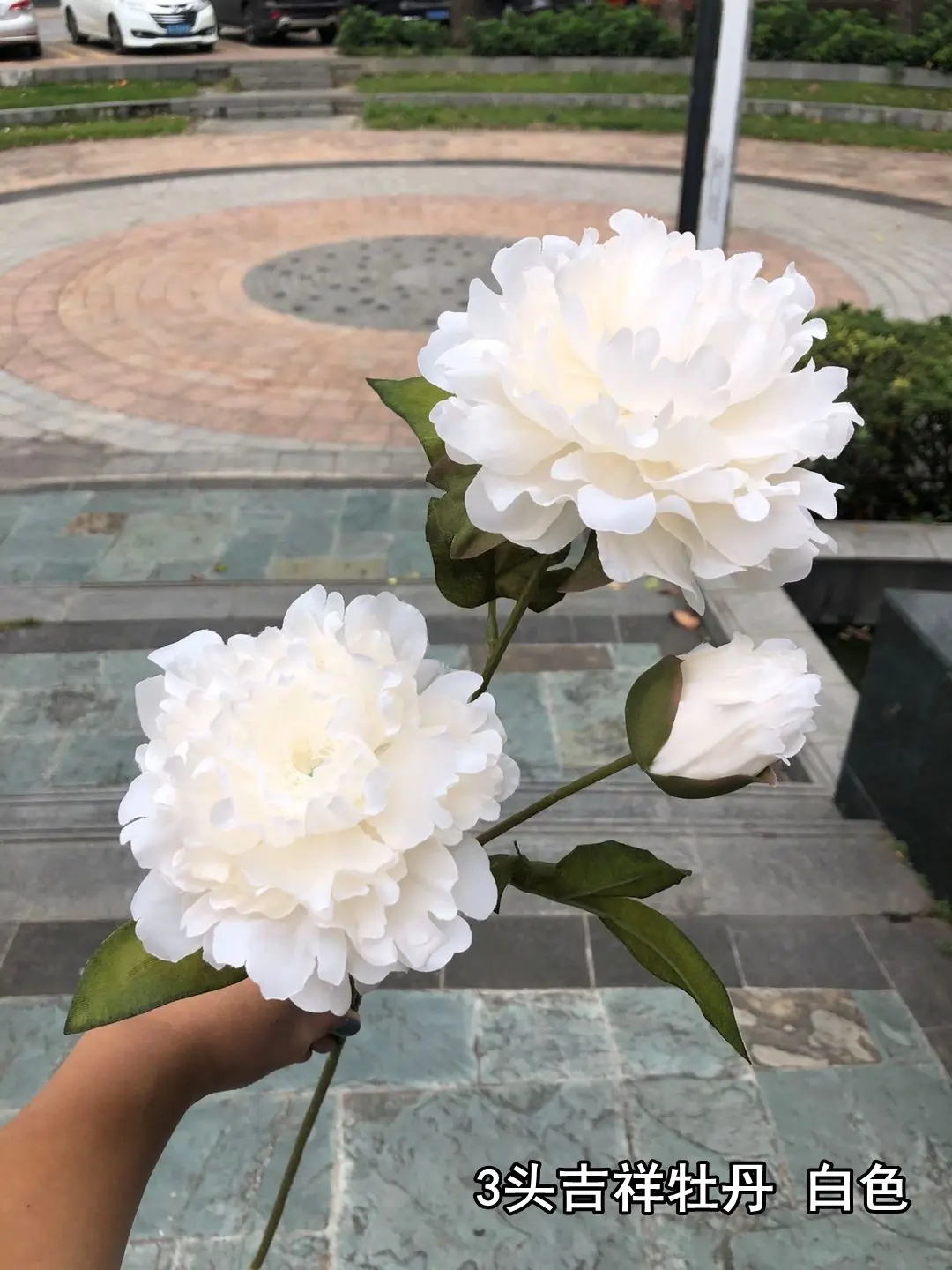 Hoa Mẫu Đơn Nụ 2 Bông - Ảnh 7