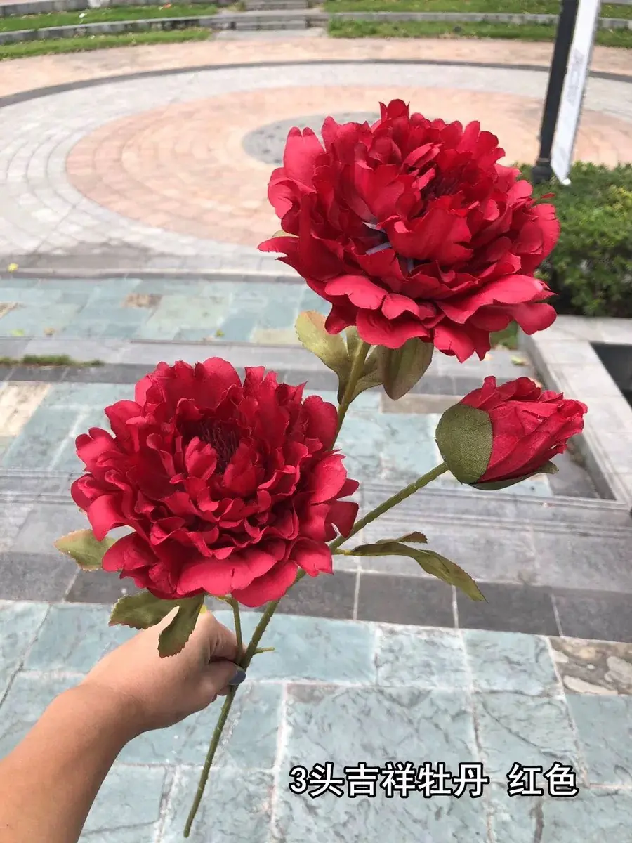 Hoa Mẫu Đơn Nụ 2 Bông - Ảnh 10