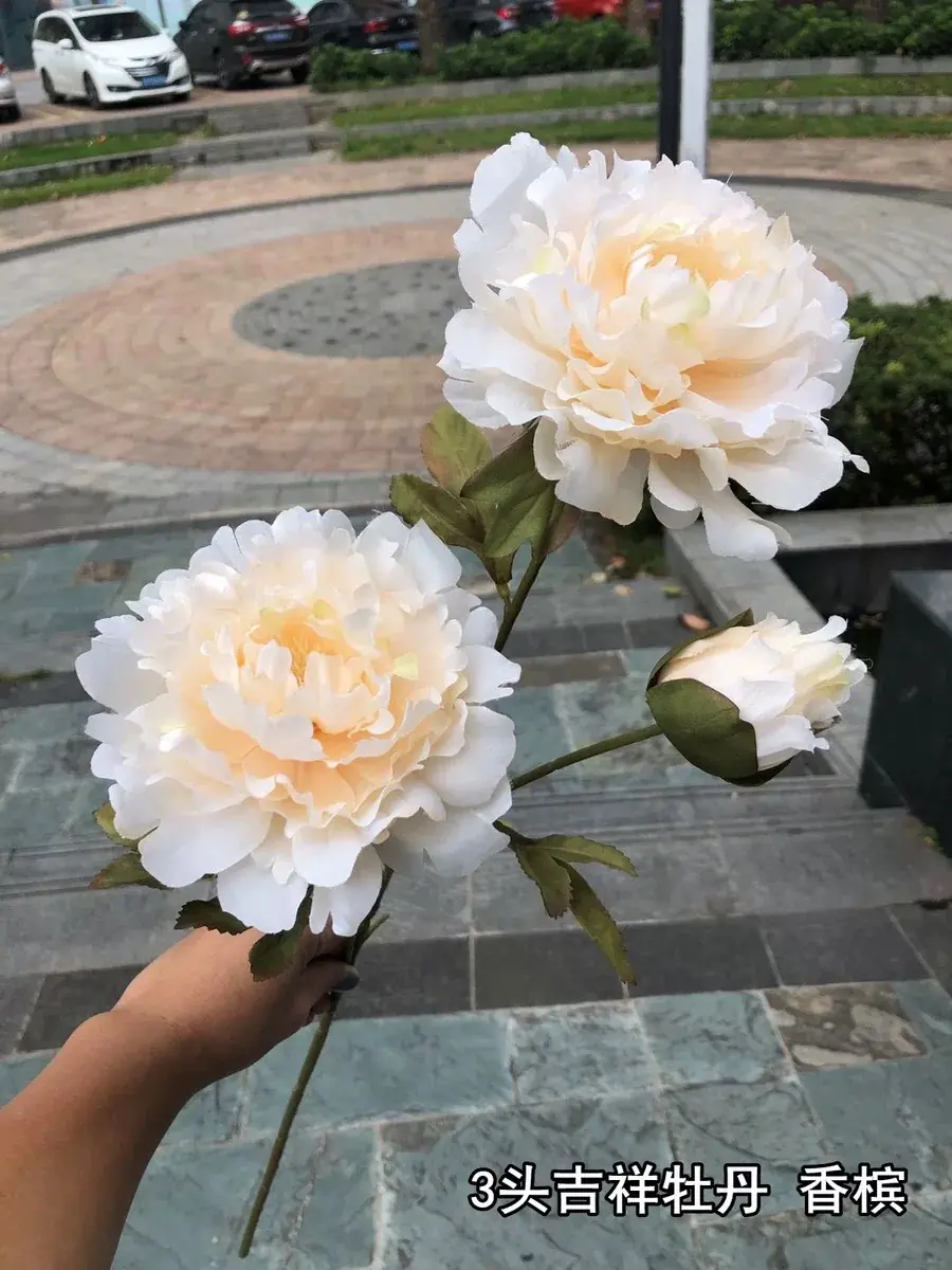 Hoa Mẫu Đơn Nụ 2 Bông - Ảnh 11