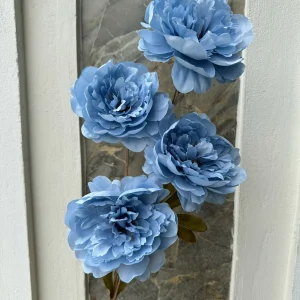 Hoa Mãu Đơn Pháp 4 Bông