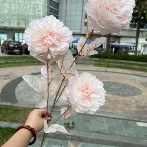 Hoa Mẫu Đơn Víp