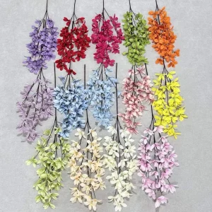 Hoa Ngọc Lan 5 Nhánh