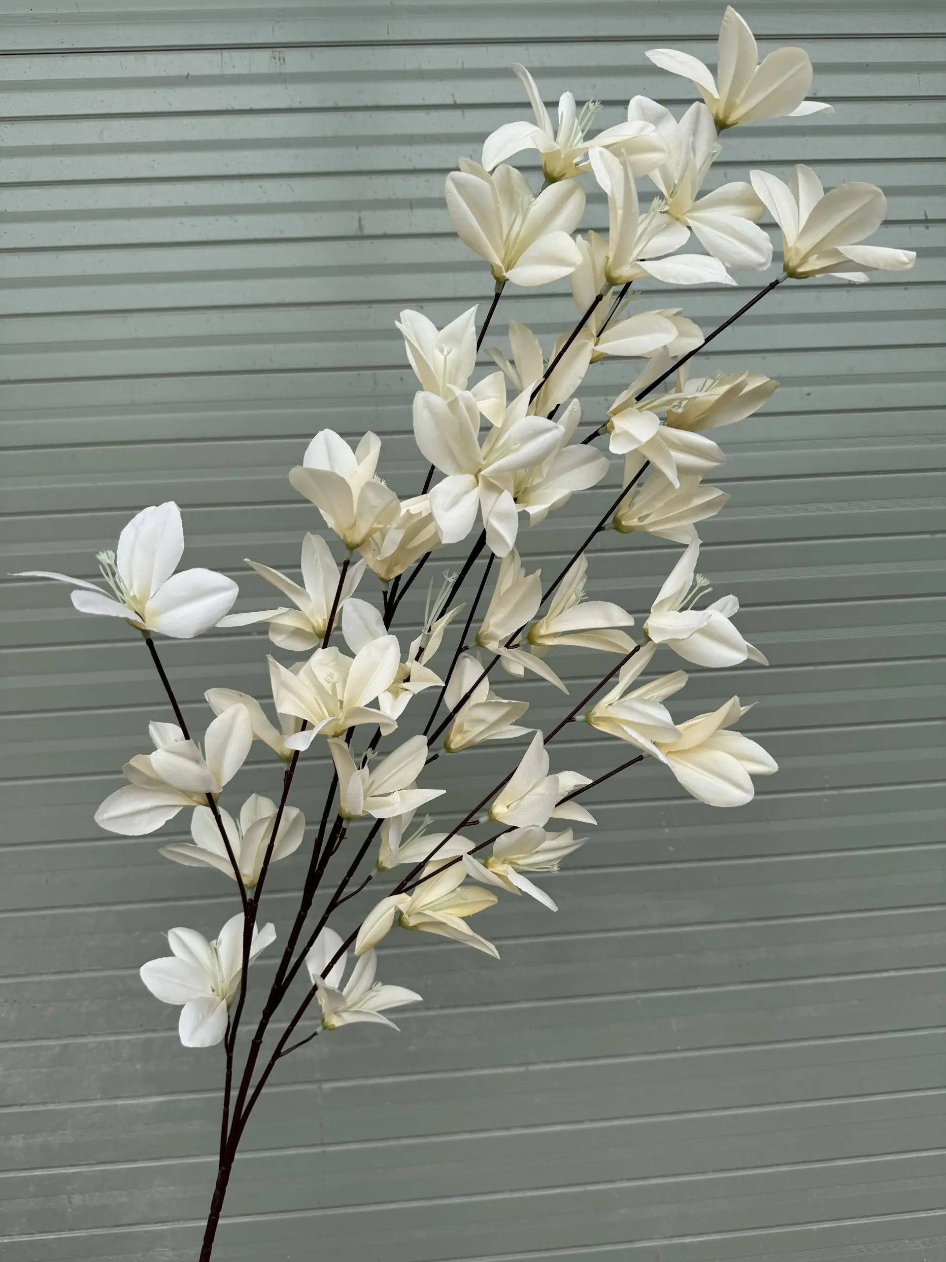 Hoa Ngọc Lan 5 Nhánh - Ảnh 4