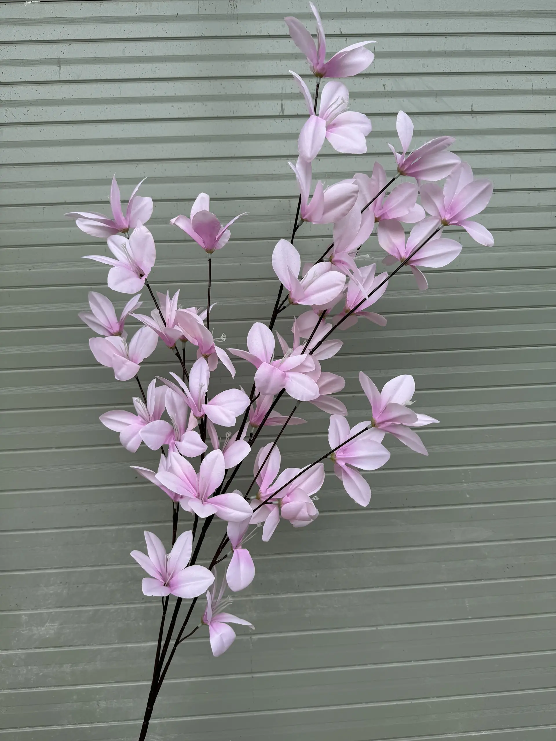 Hoa Ngọc Lan 5 Nhánh - Ảnh 8