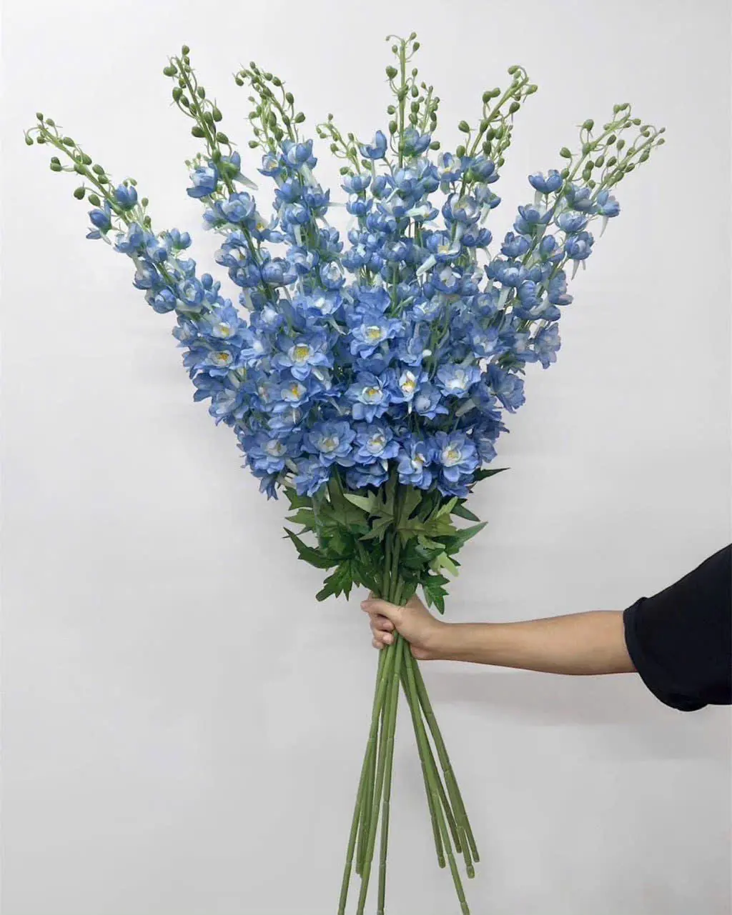 Hoa Phi Yến Vip Đủ Màu - Ảnh 2