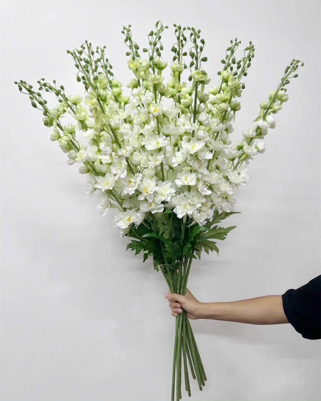 Hoa Phi Yến Vip Đủ Màu - Ảnh 3