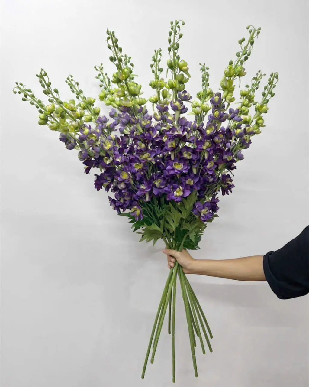 Hoa Phi Yến Vip Đủ Màu - Ảnh 5