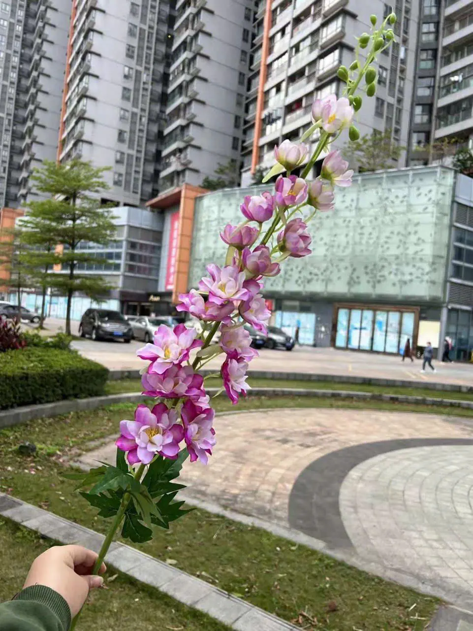 Hoa Phi Yến Vip Đủ Màu - Ảnh 6