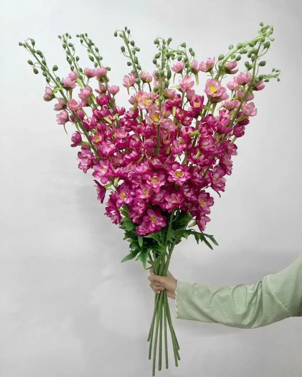 Hoa Phi Yến Vip Đủ Màu - Ảnh 8