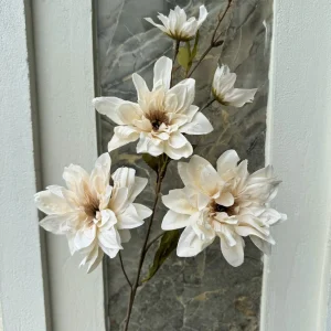 Hoa Thược Dược Nữ Hoàng