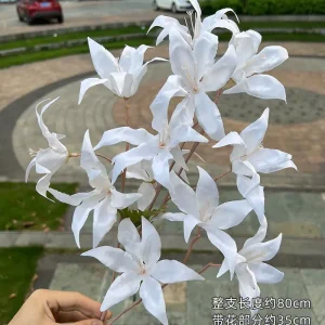 Hoa Tình Nhân Mới.