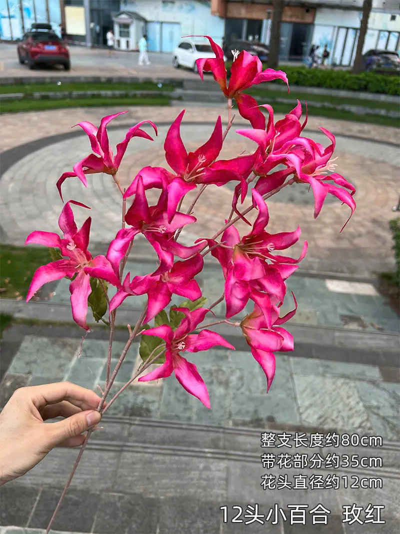 Hoa Tình Nhân Mới. - Ảnh 2