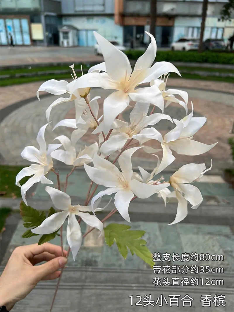 Hoa Tình Nhân Mới. - Ảnh 4