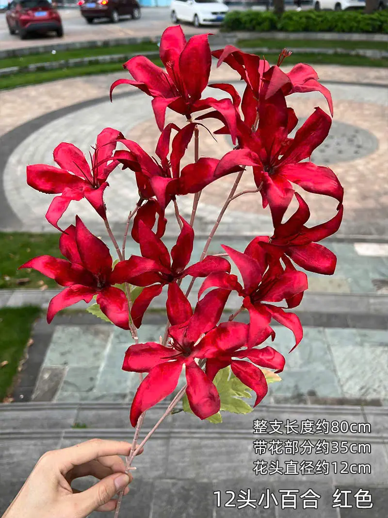 Hoa Tình Nhân Mới. - Ảnh 6