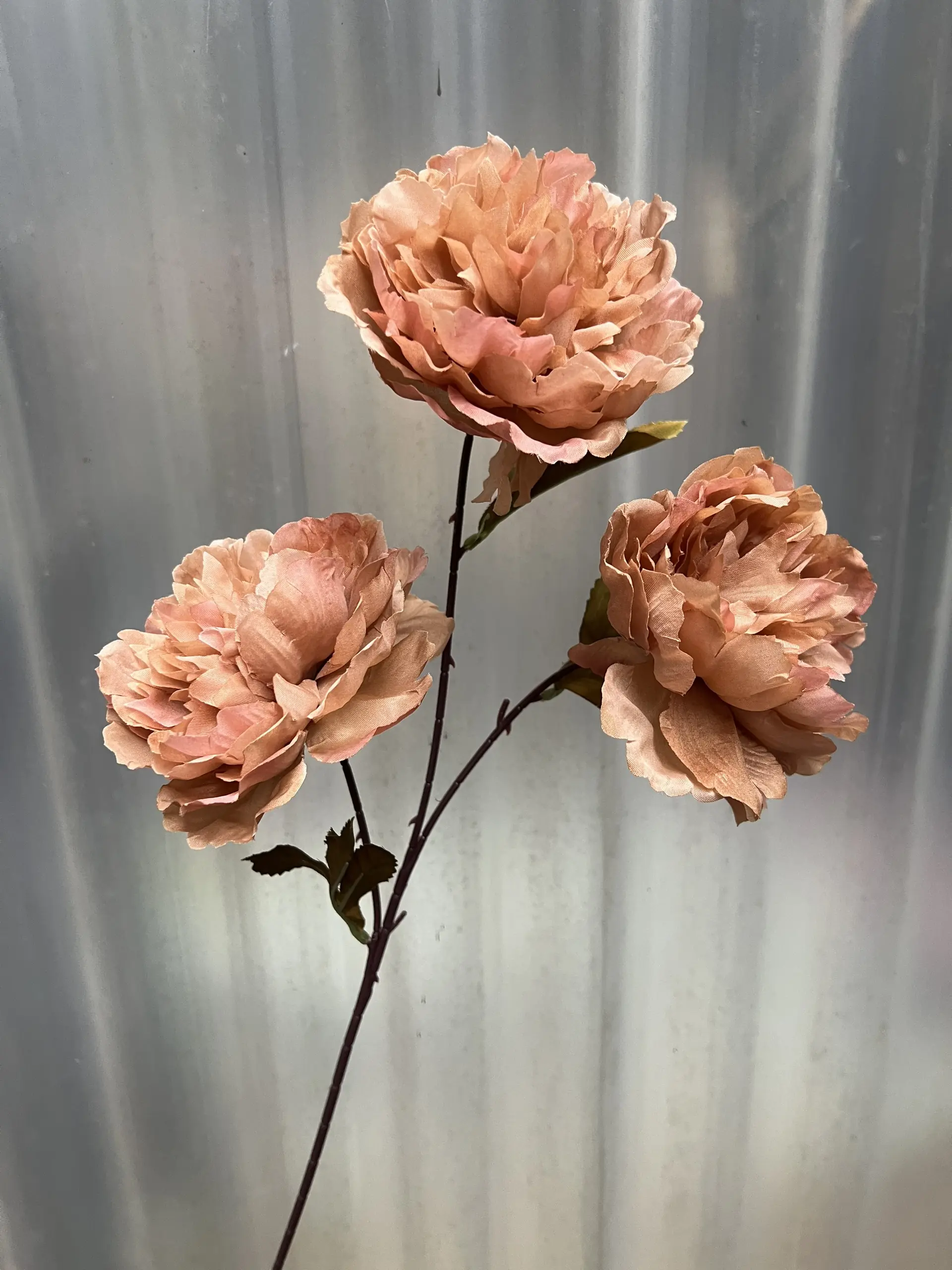 Hoa Trà 3 Bông - Ảnh 2