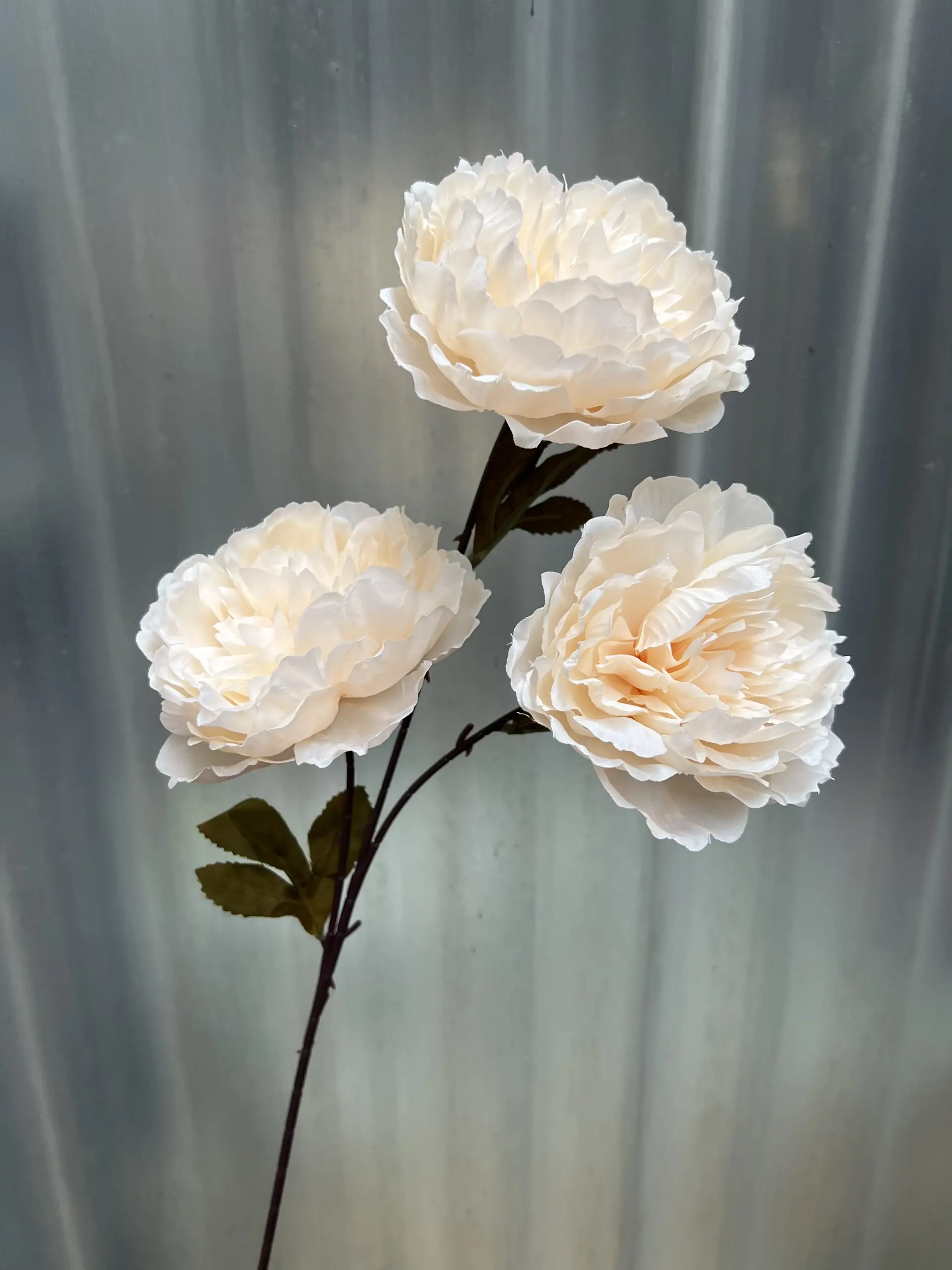 Hoa Trà 3 Bông - Ảnh 4