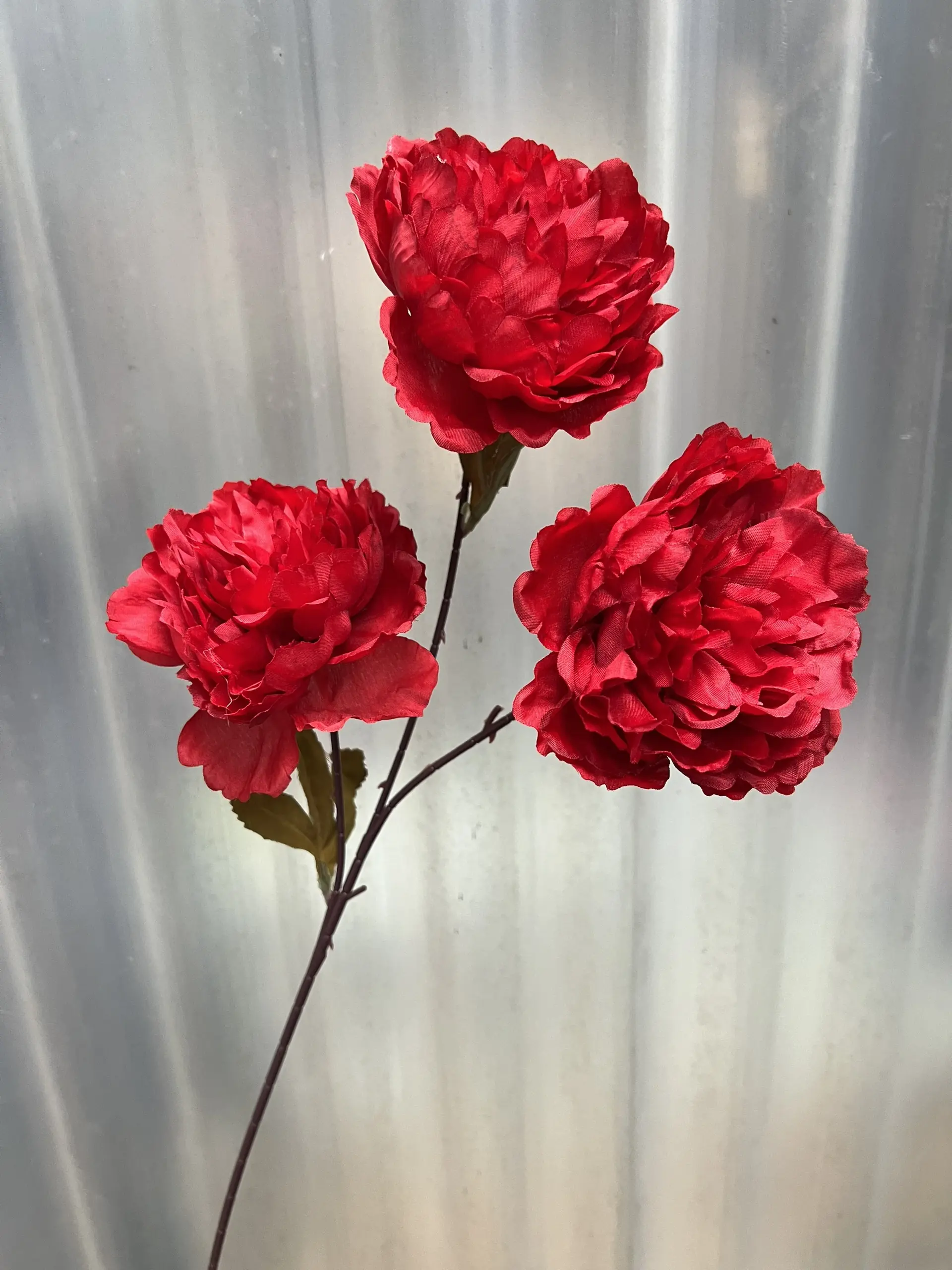 Hoa Trà 3 Bông - Ảnh 5