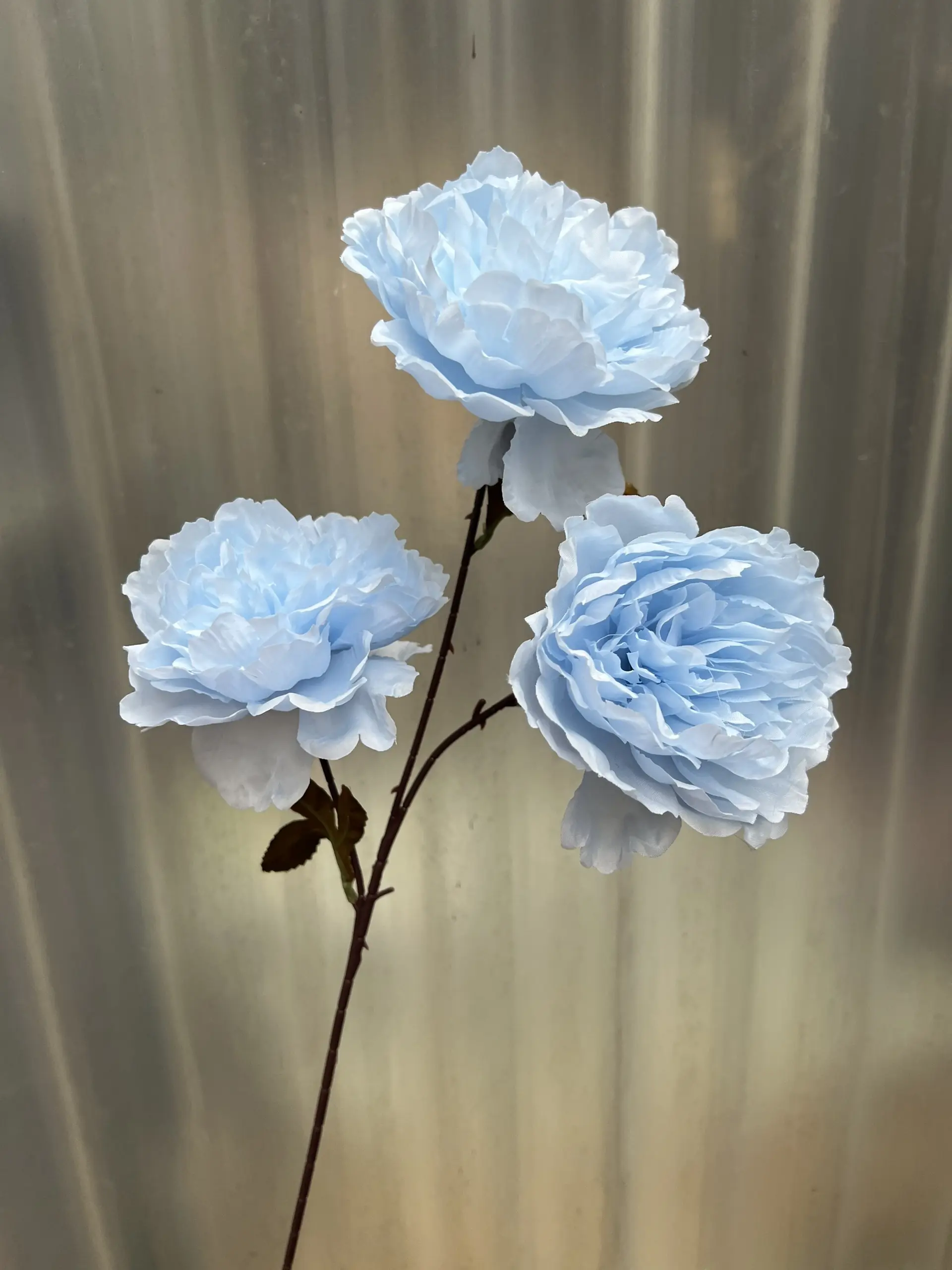 Hoa Trà 3 Bông - Ảnh 6